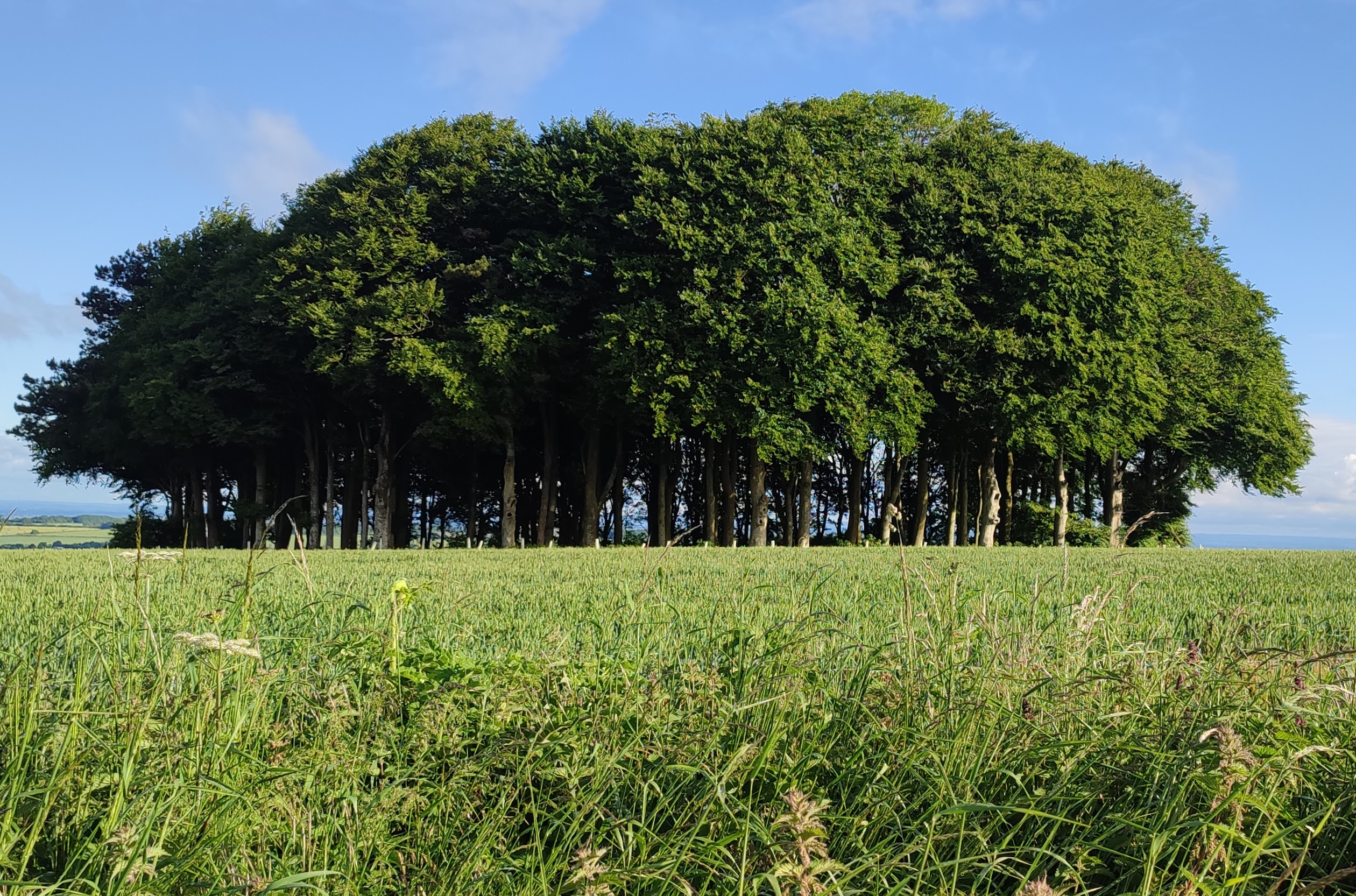 The Ridgeway @jamietheyer