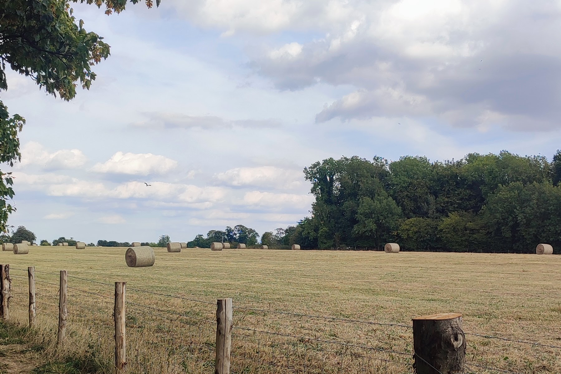 Cotswold Way @jamietheyer