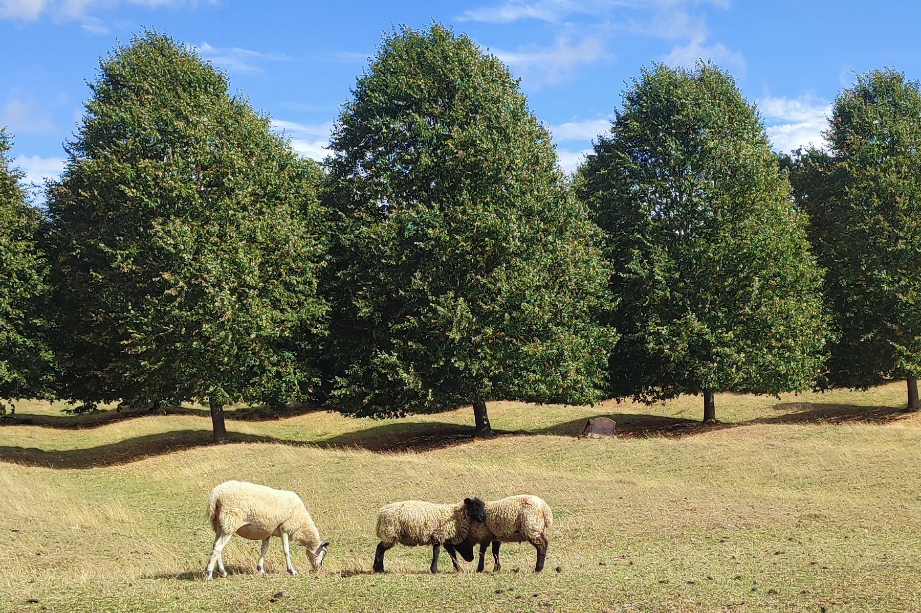 Cotswold Way @jamietheyer